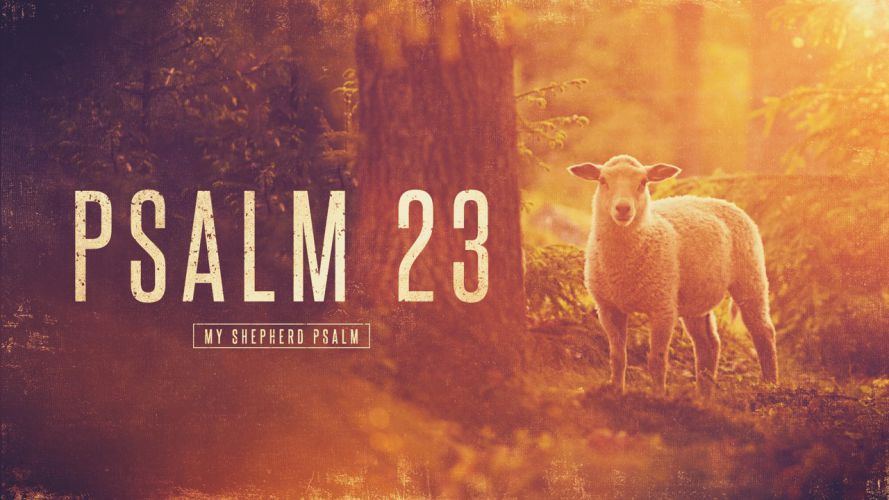 My Shepherd Psalm