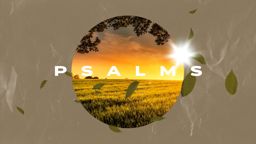 The 23rd Psalm Sunlight Field - CMG Template